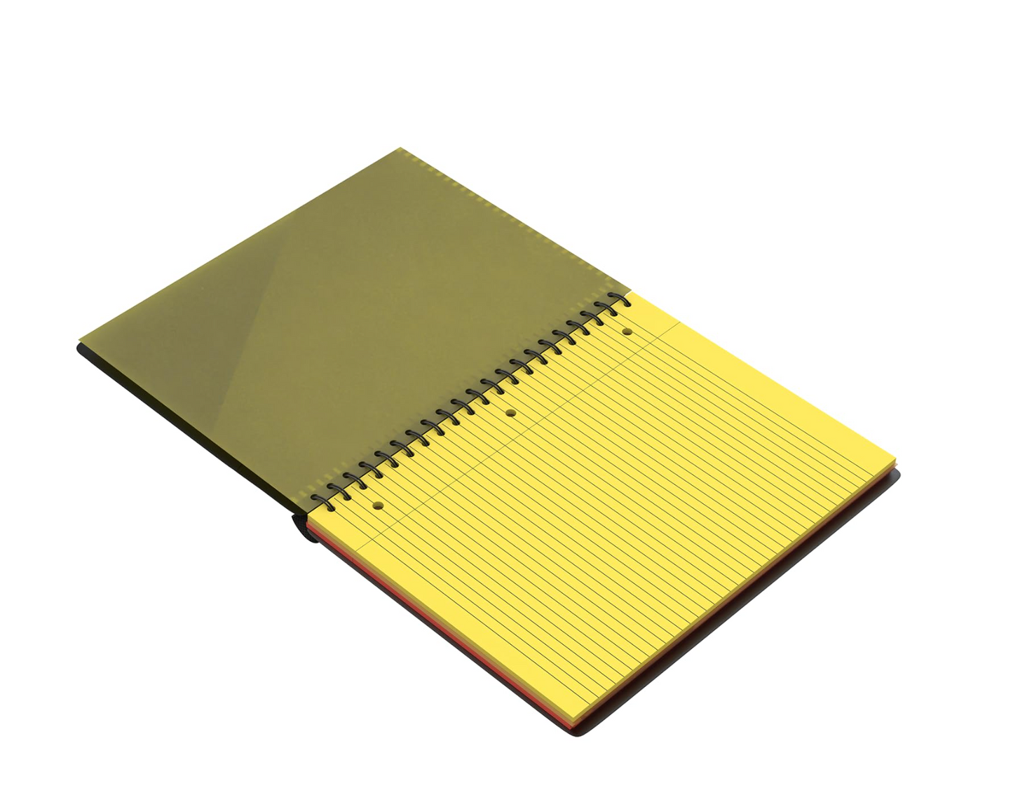 Raybook Fire