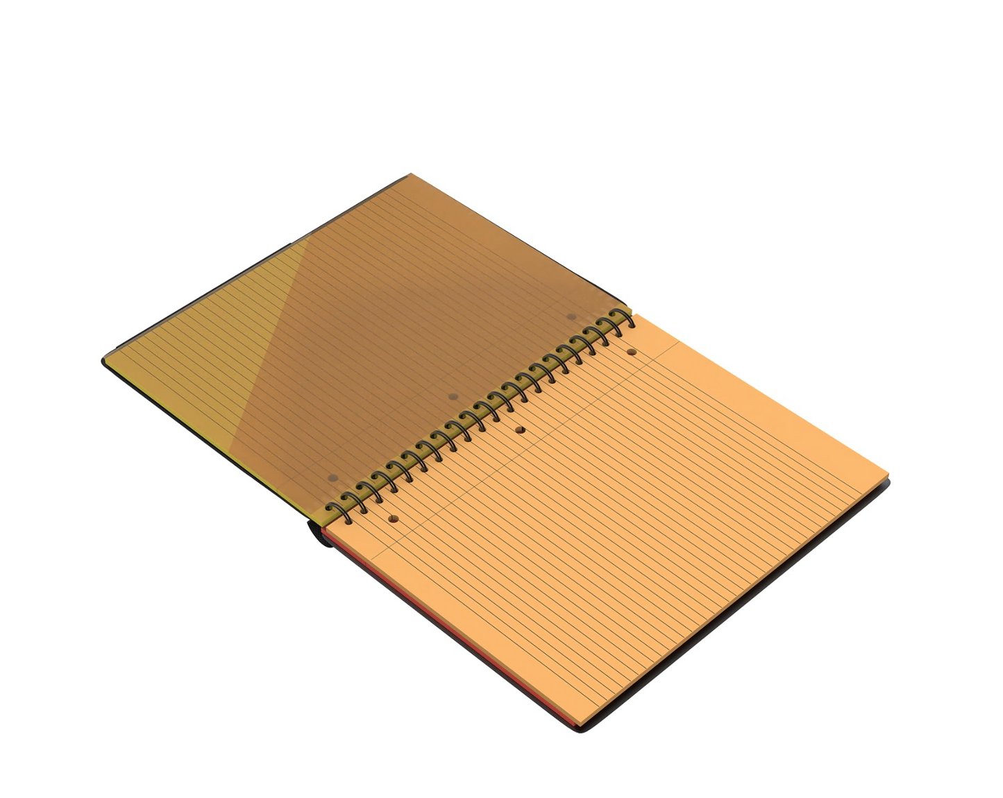 Raybook Fire